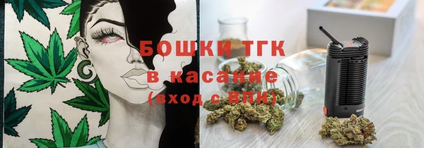 ECSTASY Инсар
