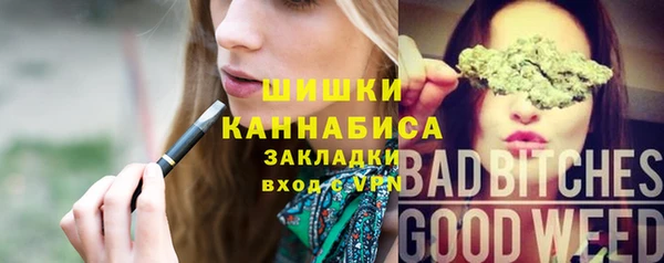 ECSTASY Инсар