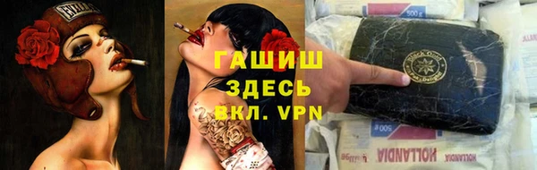 ECSTASY Инсар