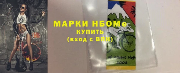 ECSTASY Инсар