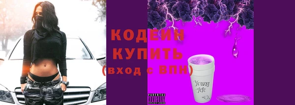бошки Иннополис