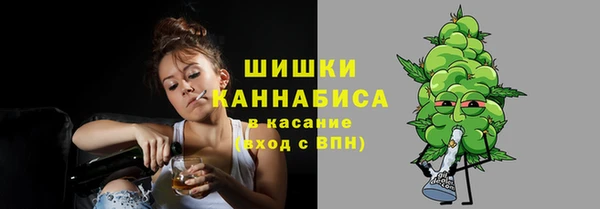 бошки Иннополис