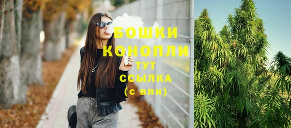 mix Инта