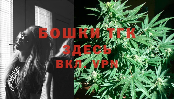 ECSTASY Инсар