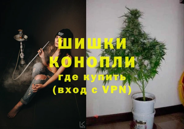 mix Инта