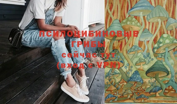 ECSTASY Инсар